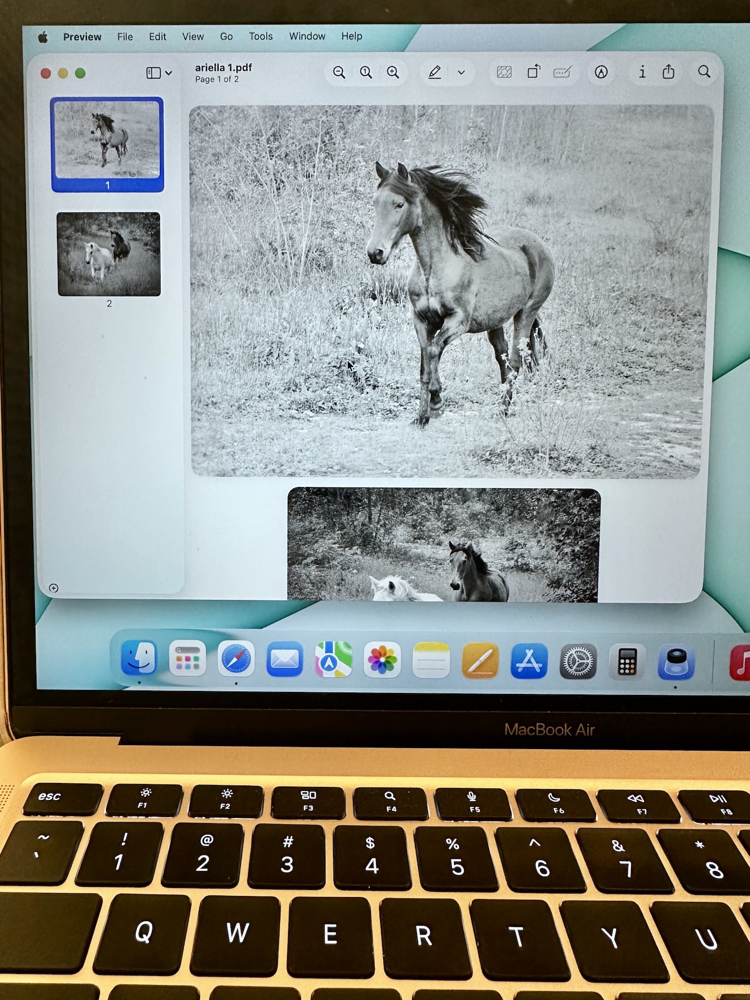 Image of two photos in a PDF folder on Mac laptop.
